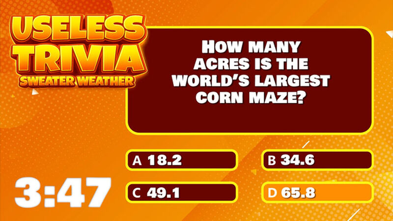 Useless Trivia Sweater Weather Countdown